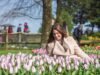 Amsterdam: Keukenhof and Giethoorn Tour