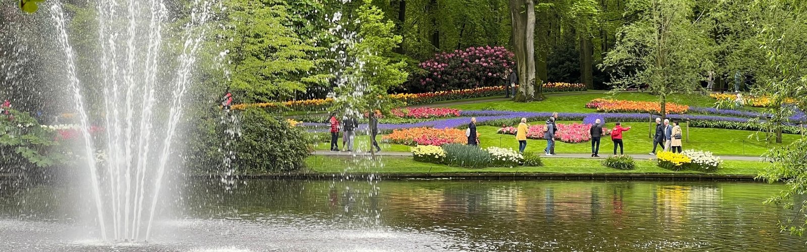 Beautiful garden with colorful flowers and fountain